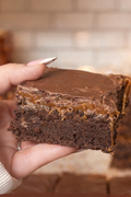 chocolate caramel brownie